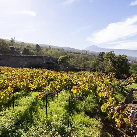 Ek Drago El Milagro شقة لا أوروتافا