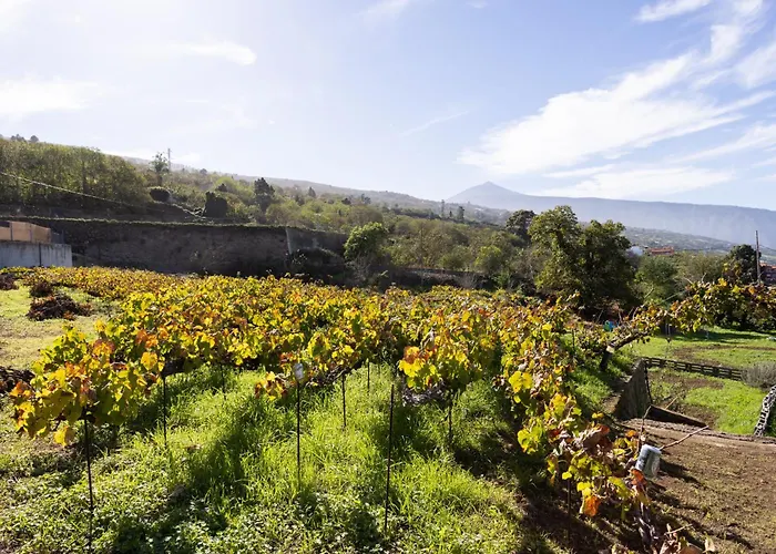 Ek Drago El Milagro Lägenhet La Orotava