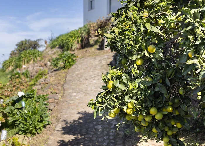 Ek Drago El Milagro *