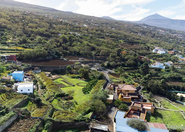 Ek Drago El Milagro * La Orotava