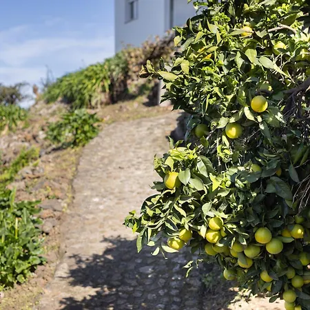 Ek Drago El Milagro *